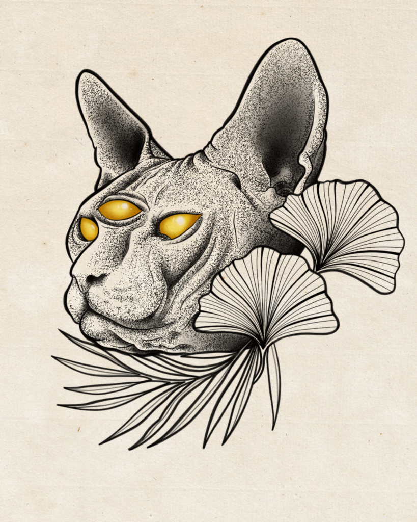 flash tatouage chat sphinx