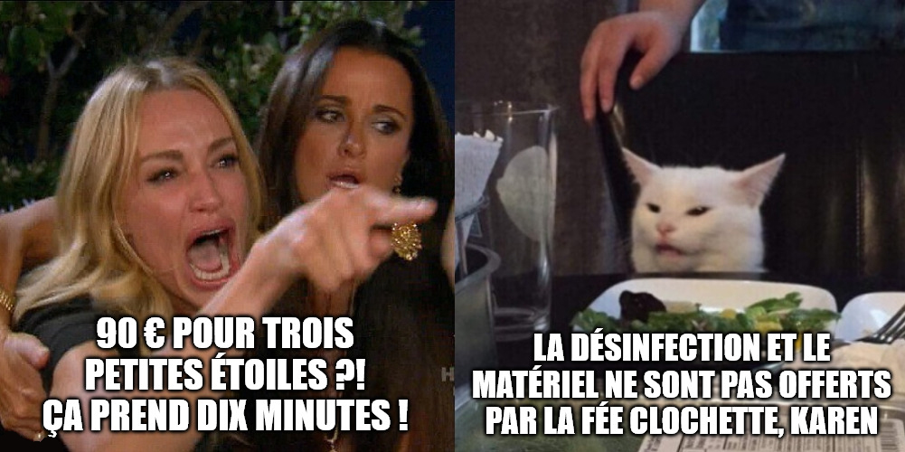 Mème du chat à table sur le prix minimum d'un petit tatouage et le temps de préparation nécessaire