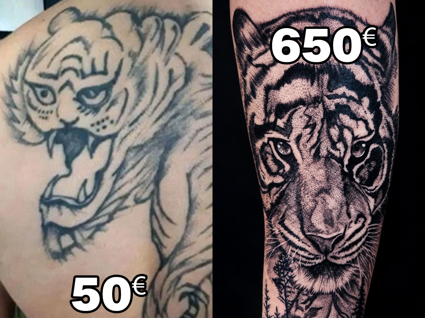 Comparatif de prix et de qualité entre deux tatouages de tigre, illustrant l'importance du savoir-faire du tatoueur