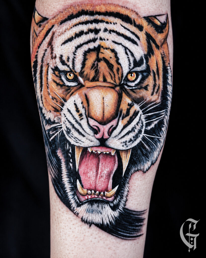 Tatouage réaliste d’un tigre rugissant en couleur