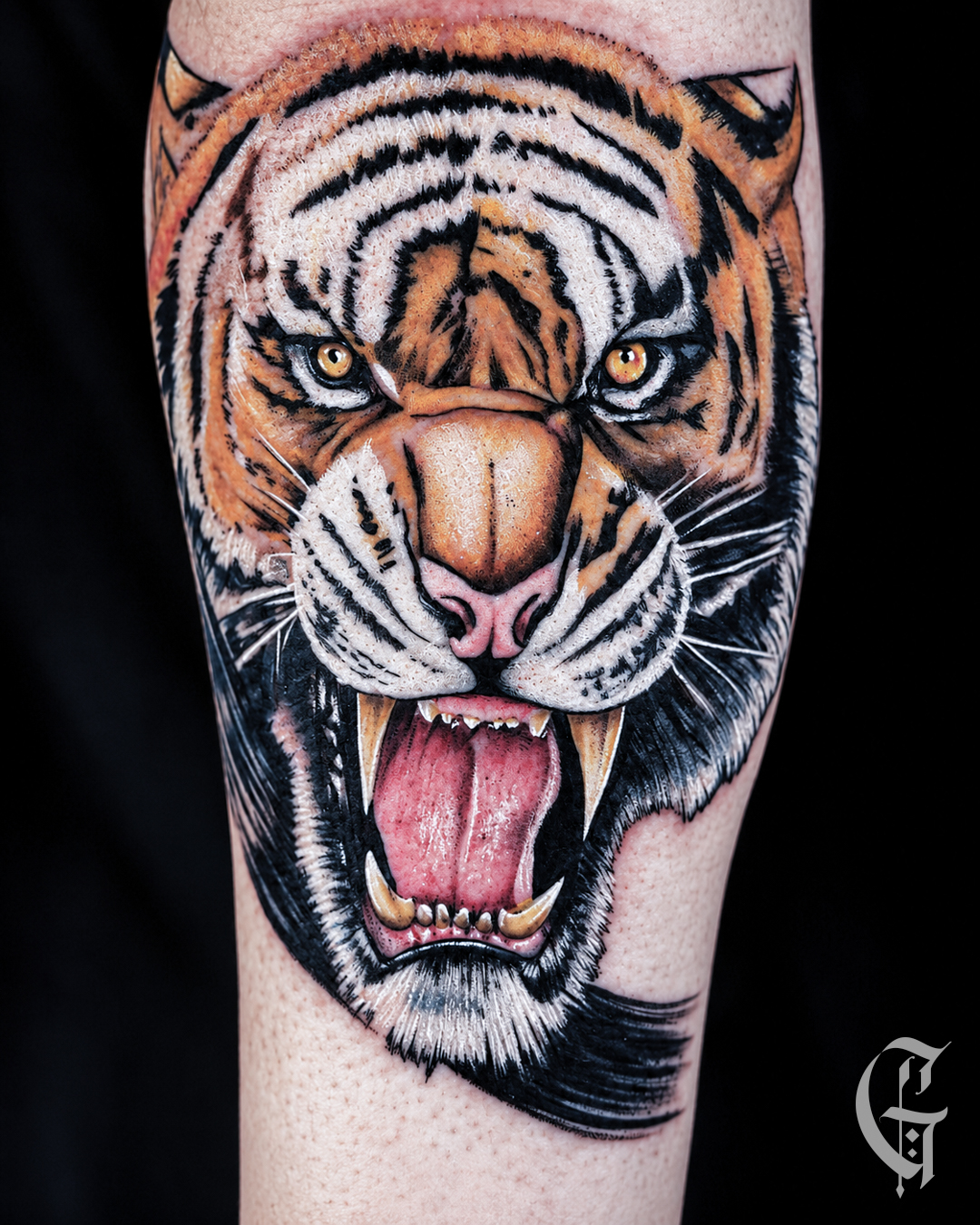 Tatouage réaliste en couleur représentant un tigre rugissant, réalisé par Gaston