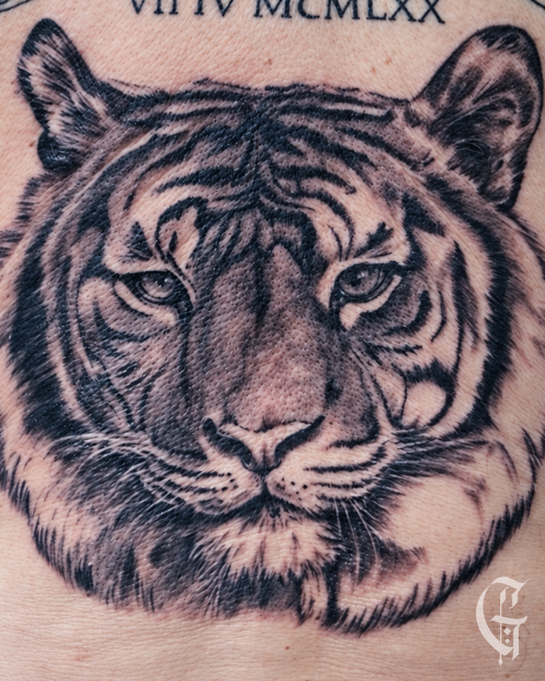 Tatouage de tigre réaliste en noir et gris, réalisé par Gaston